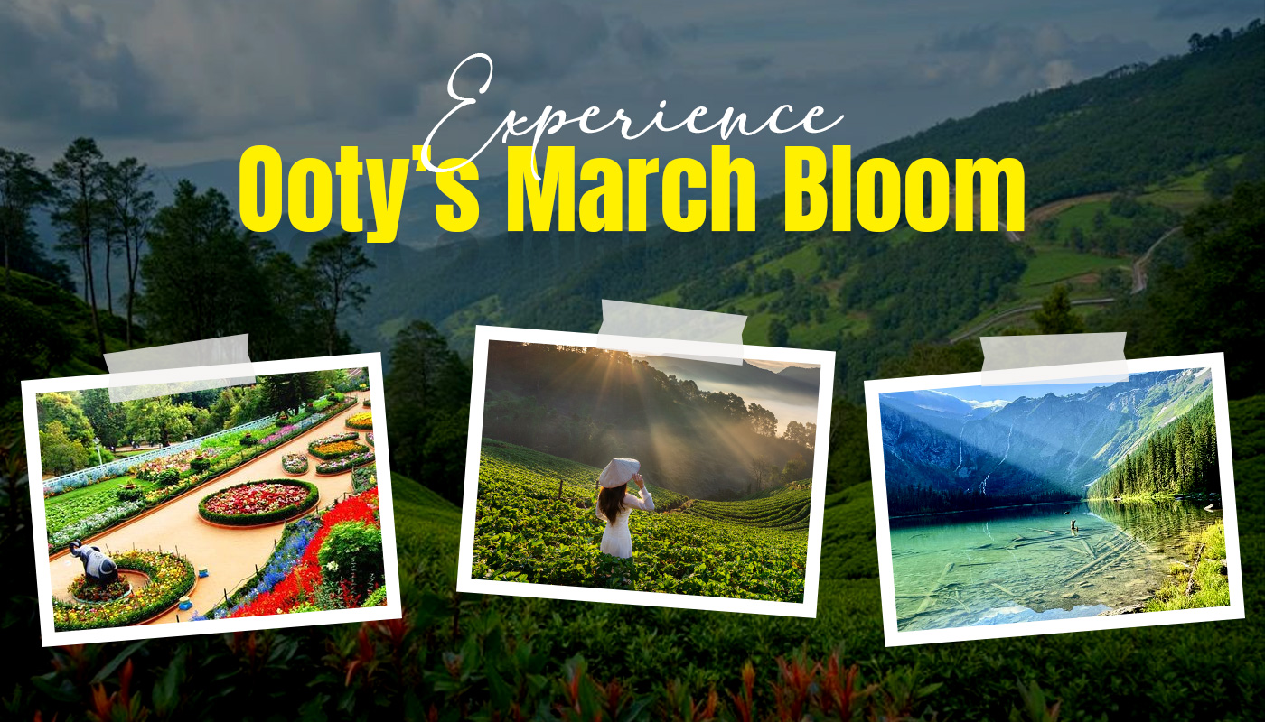 Experience-Ooty’s-March-Bloom