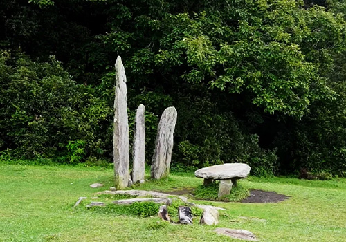 Mawphlang-Sacred-Forest