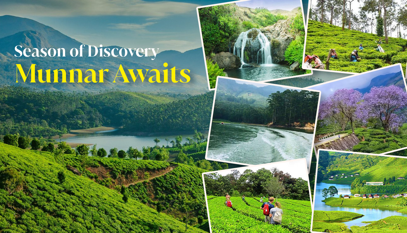 season-of-discovery-munnar-awaits